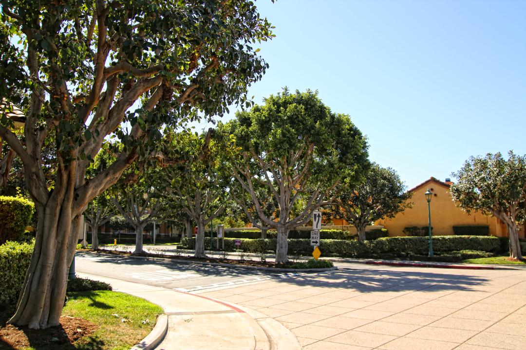 Work Image
