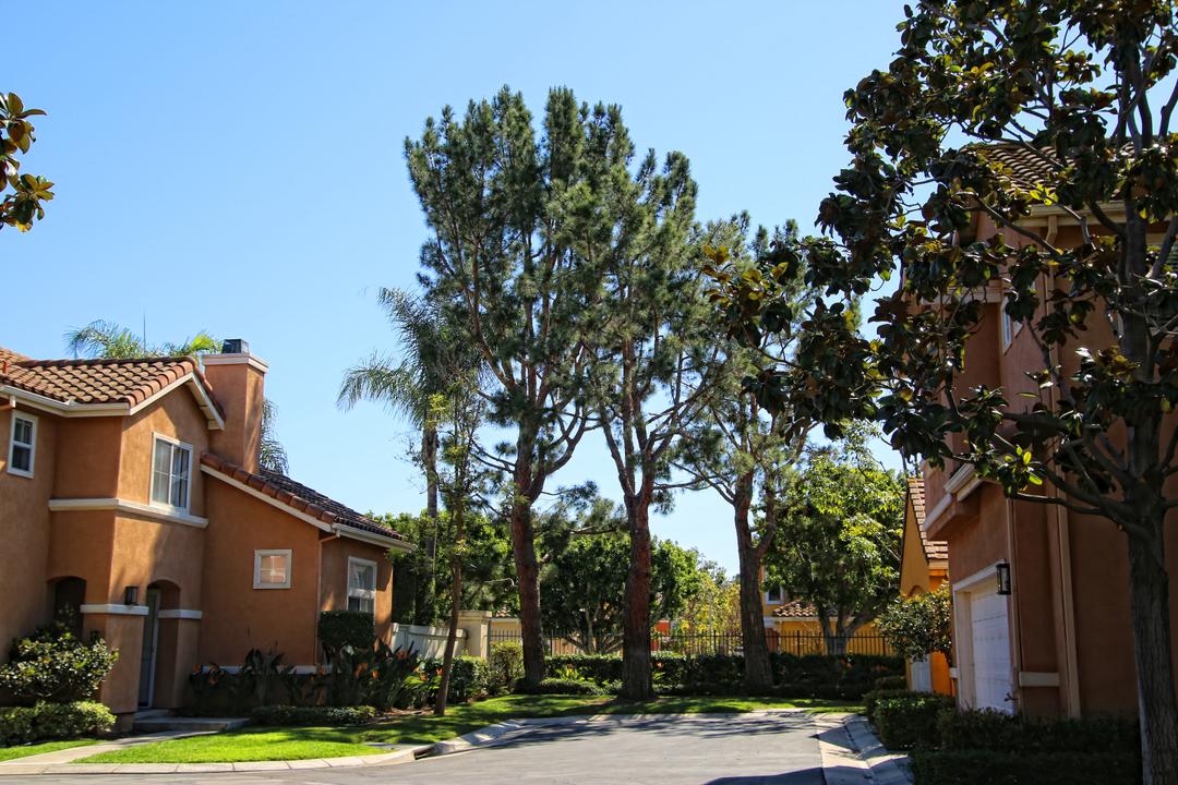 Work Image