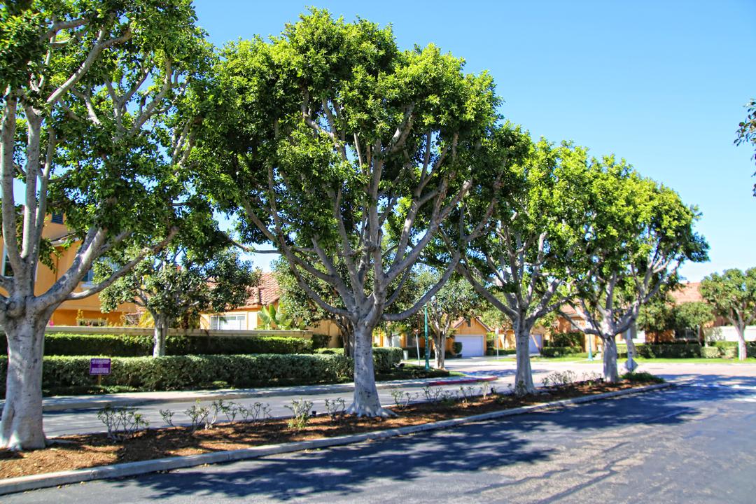 Work Image